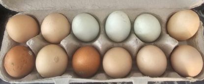 Picture of Fresh Chicken Eggs (12 ct)